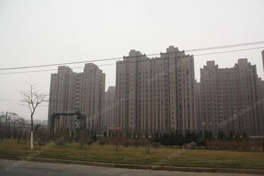 衡逸園 大連房地產(chǎn)開(kāi)發(fā)中的精致生活樣本