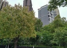 大連房地產(chǎn)資訊網(wǎng)——資訊中心·大連樂居·大連房地產(chǎn)開發(fā)動態(tài)聚焦