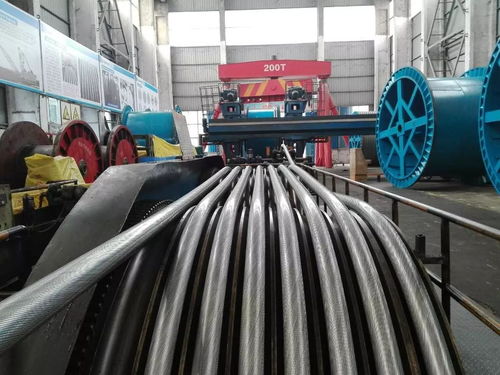 公司順利完成銅仁奧體中心密封繩生產，同步推進塑料管產銷業務